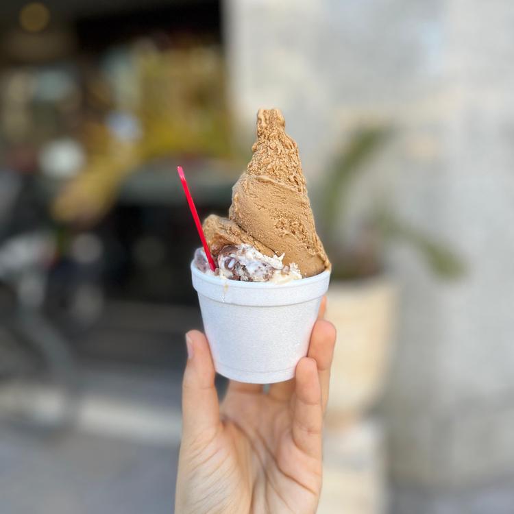 WhatsApp Image 2023-11-07 at 06.13.36