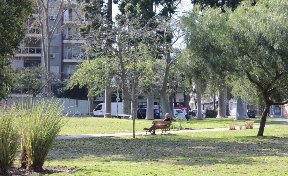 Screenshot 2024-10-22 at 11.14.45 AM