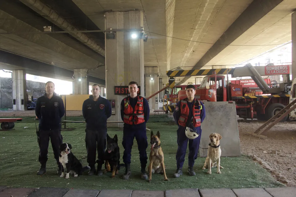 Perros y rescatistas
