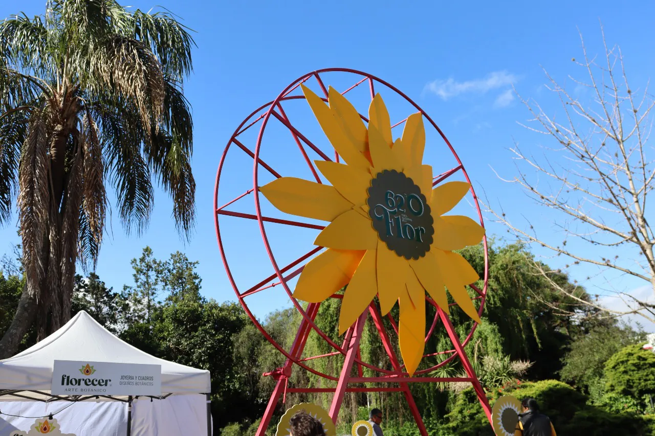 Flor_Portada