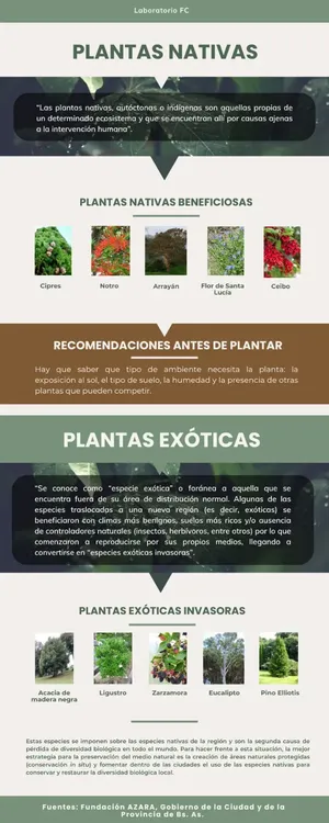 Flor_Infografía