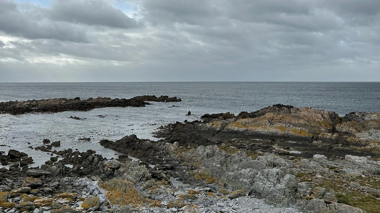 Foto Islas Malvinas
