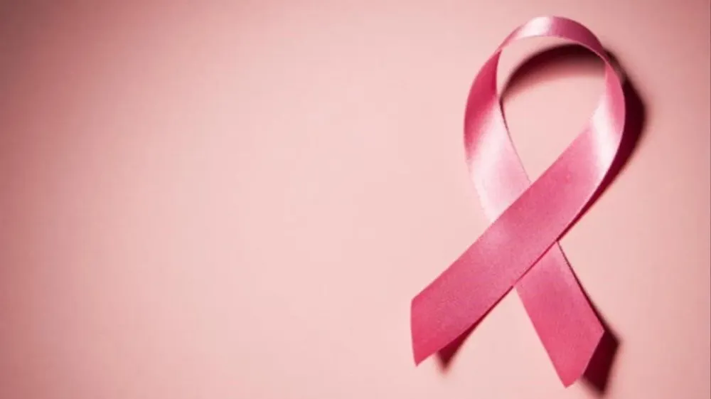 WhatsApp Image 2025-10-28 at 13.10.22