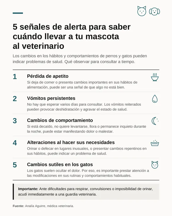 infografia_senales_alerta_veterinario